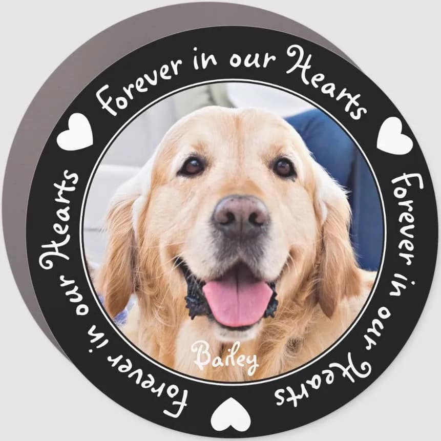 Forever in our Hearts Pet Photo Magnet - Magnets and Memories