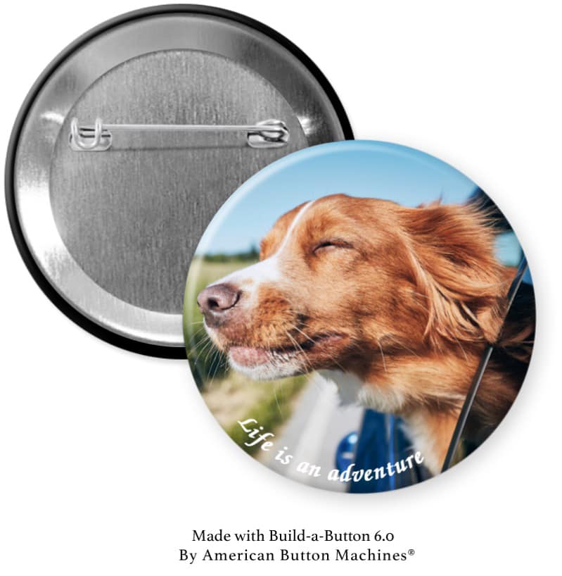 Life is an Adventure With Dog in Car Pinback - Magnets and Memories