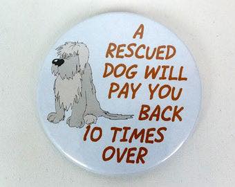 A Rescued Dog will pay you back 10 times over Pinback - Magnets and Memories
