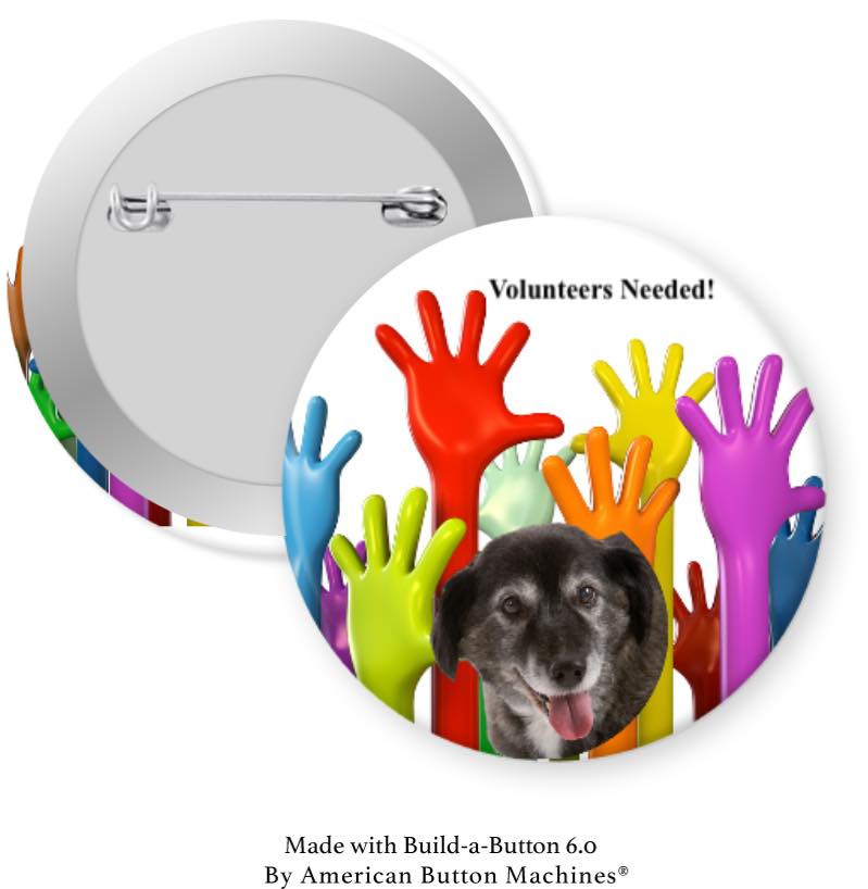 Dog Volunteers Needed Pinback - Magnets and Memories