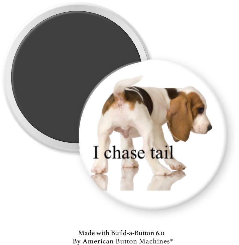 Dogs “I Chase Tail” Magnet - Magnets and Memories