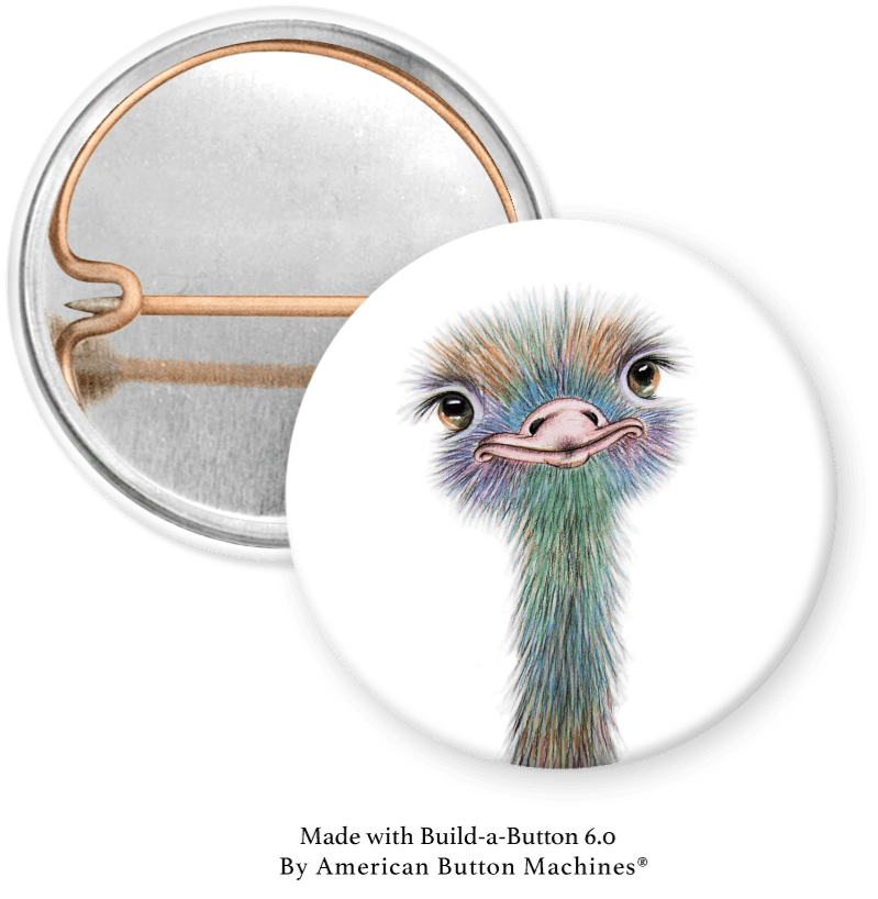 Ostrich Pinback - Magnets and Memories
