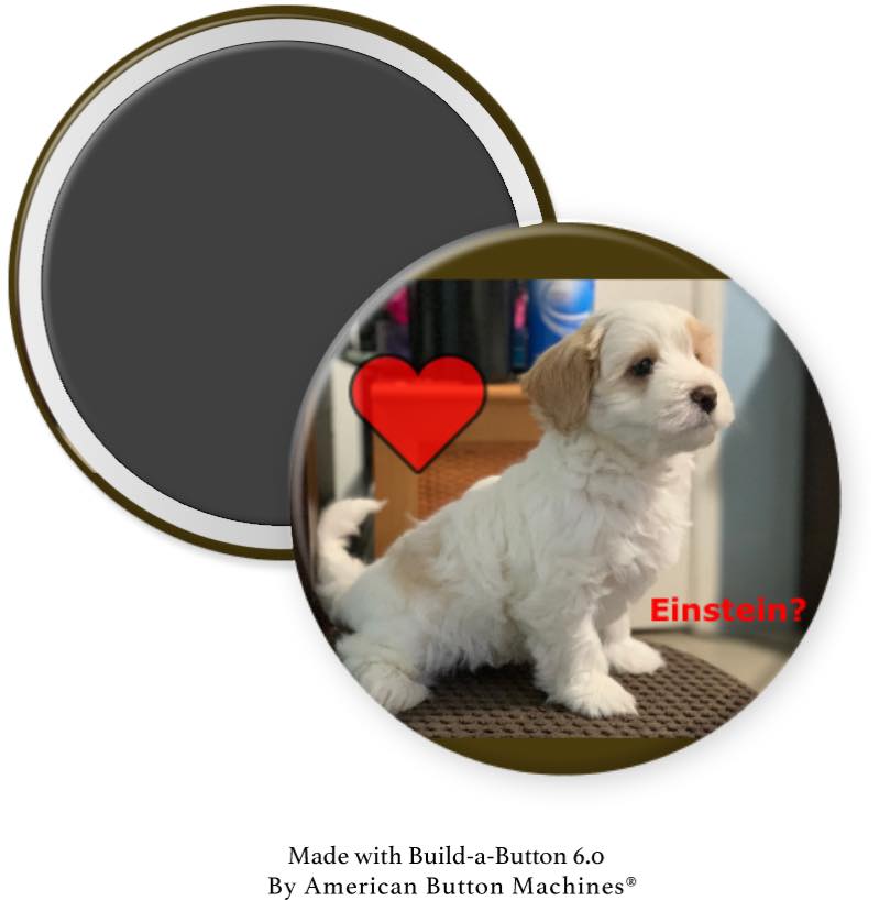 Sample Dog with Heart Magnet - Magnets and Memories