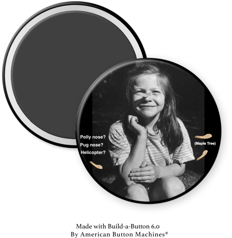Pug Nose or Polly Nose (from Maple Tree) 1950s - Magnets and Memories