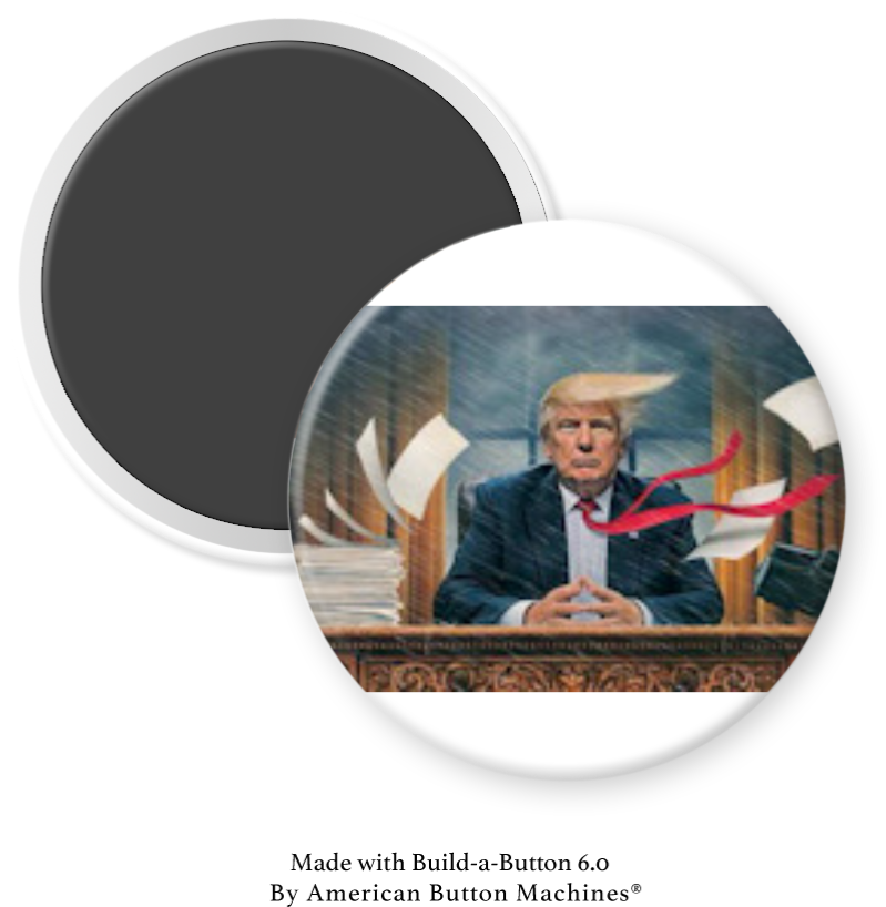 President Trump with wild storm blowing around him - Magnets and Memories 