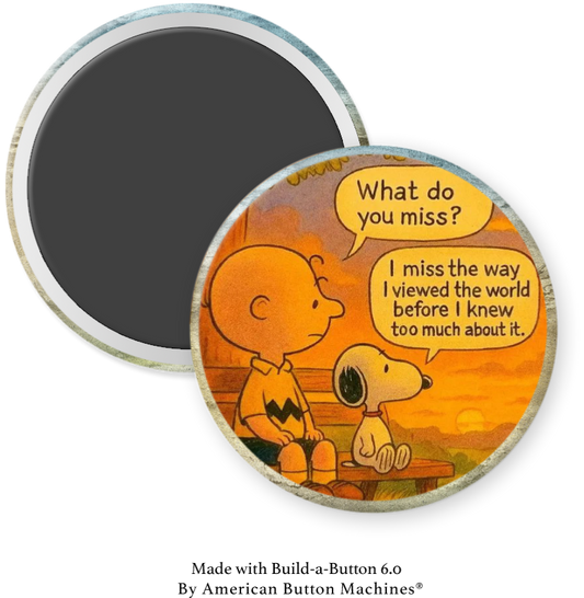 I Miss the Way I Viewed the World Before I Knew Too Much - Magnets and Memories 