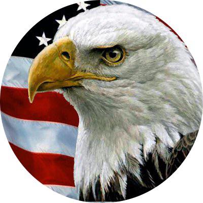 American Eagle with Flag Magnet - Magnets and Memories 