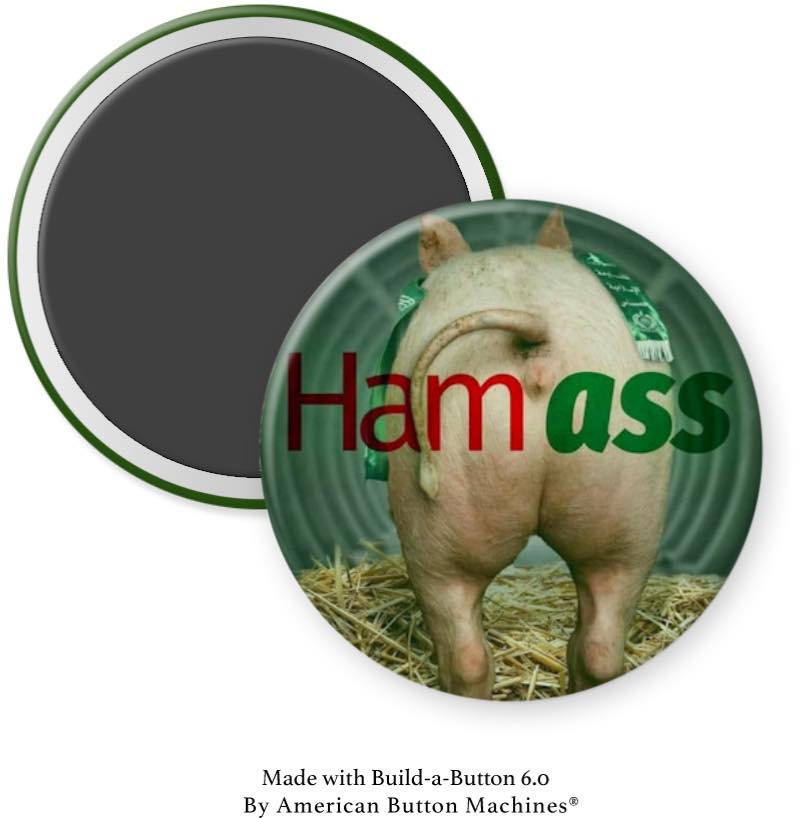 HAMass Magnet - Magnets and Memories