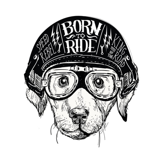 Born to Ride Biker Dog Magnet - Magnets and Memories
