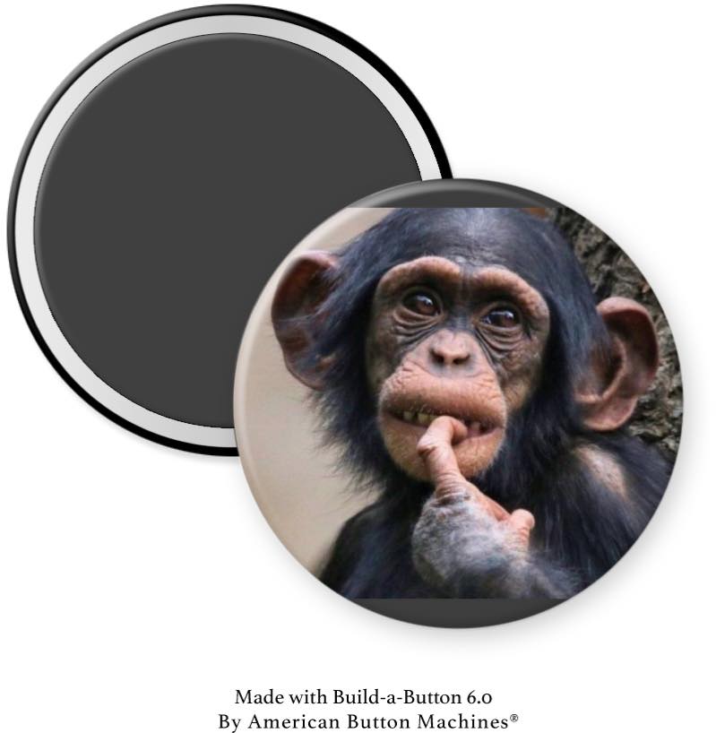 Chimpanzee Thinking Finger in Mouth Magnet - Magnets and Memories