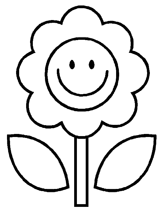 Flower to Color Magnet A - Magnets and Memories 