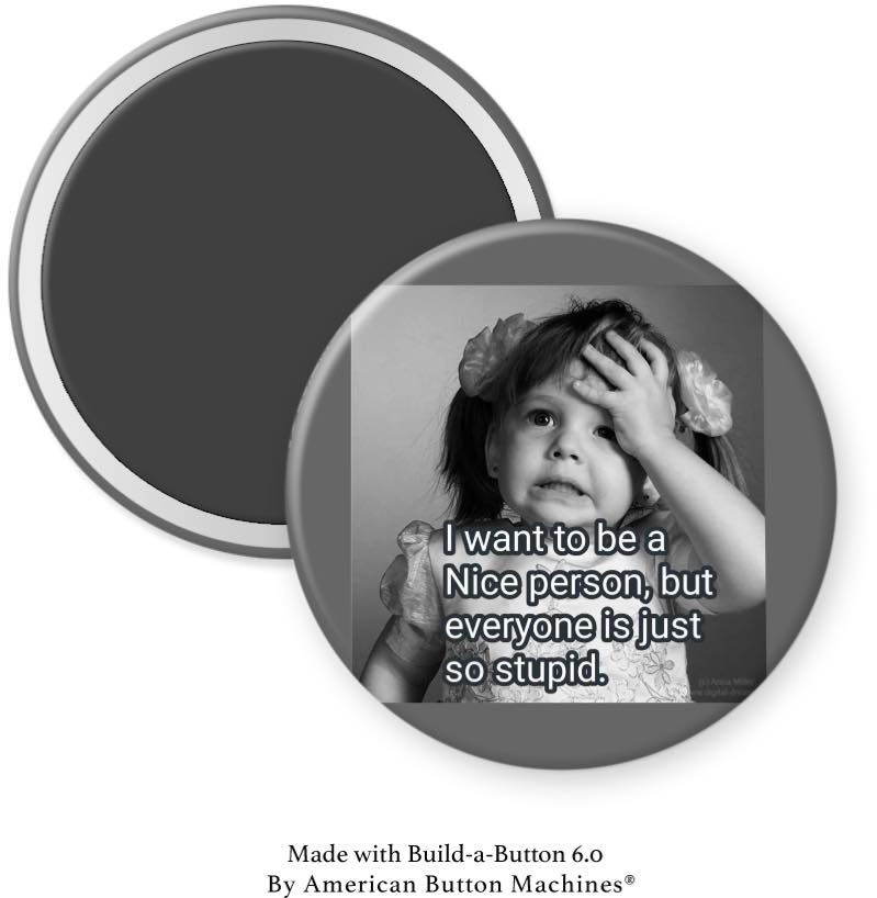I Want To Be a Nice Person But Everyone is Just so Stupid - Magnets and Memories