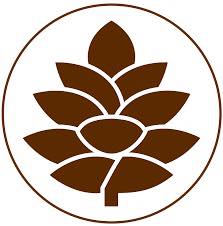 Pinecone Magnet - Magnets and Memories