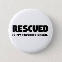 Rescued is My Favorite Breed Pinback - Magnets and Memories