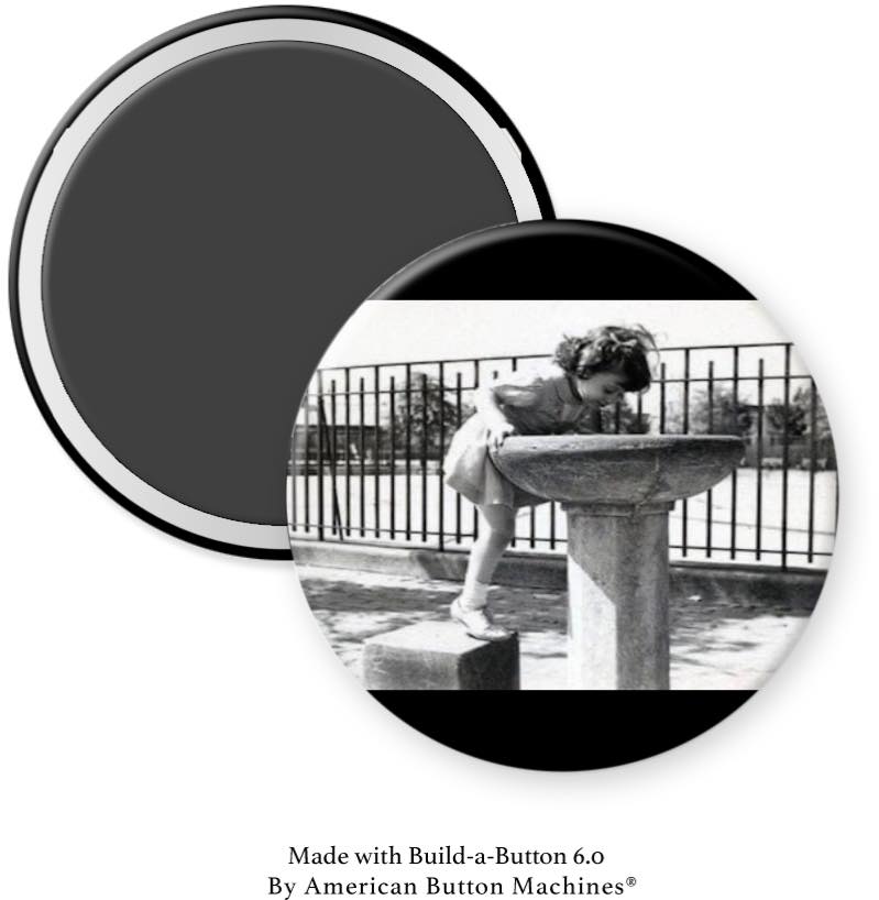 Water Fountain at Park Magnet - Magnets and Memories