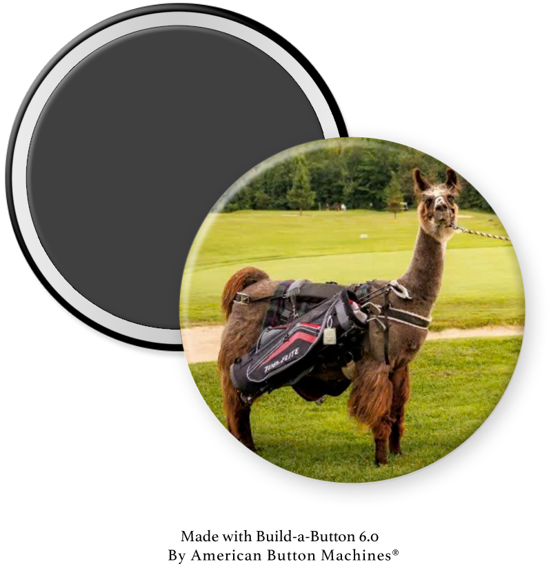 Refrigerator magnet featuring a cute llama dressed as a golf caddy, from Magnets and Memories, on a kitchen fridge door.