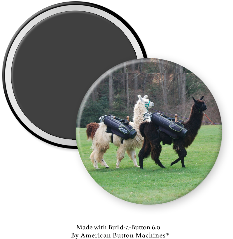 Two Llamas as Golf Caddies - Magnets and Memories 
