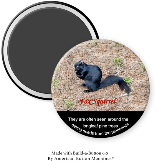 Fox Squirrel Pinehurst refrigerator magnet by Magnets and Memories, featuring a detailed squirrel illustration.